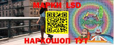PSILOCYBIN Камышлов