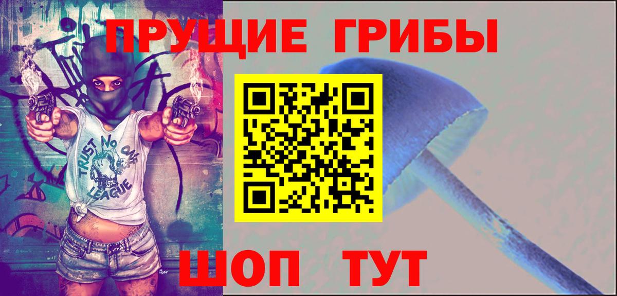 Псилоцибиновые грибы Psilocybe  Псилоцибиновые грибы GOLDEN TEACHER  Куйбышев  Вход с VPN 